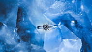 How to Propose on New Years (with the Perfect Diamond Engagement Rings for Women)